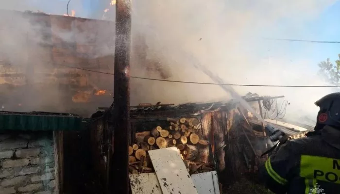 Двое мальчиков погибли при пожаре в заброшенном сарае в Алтайском крае