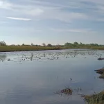 Дождь, а у меня клюет: рыбаки Алтайского края показали свои уловы. Фото