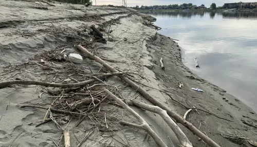 Пока не до купаний: что происходит на городском пляже Барнаула. Фото