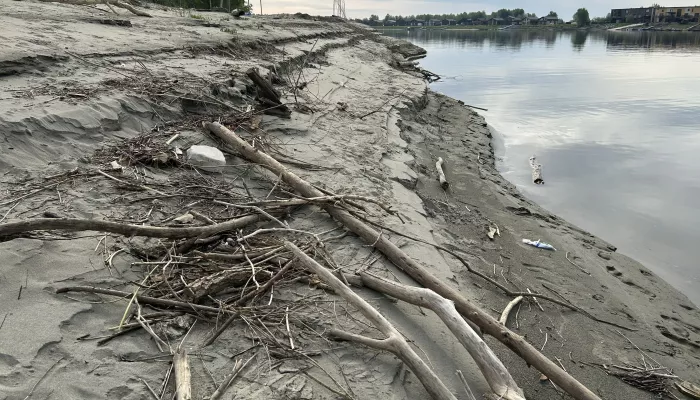 Пока не до купаний: что происходит на городском пляже Барнаула. Фото