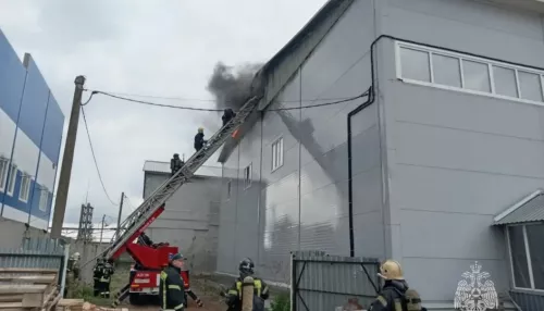 Огонь охватил 700 кв. метров производственного здания на пр. Калинина в Барнауле