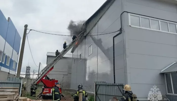 Огонь охватил 700 кв. метров производственного здания на пр. Калинина в Барнауле