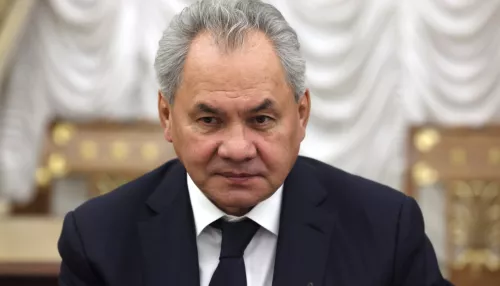 Шойгу заявил, что против России фактически воюет 56 стран