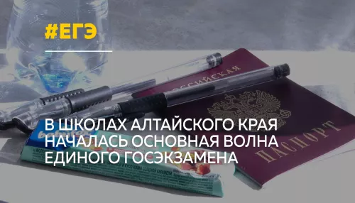 В Алтайском крае стартовал основной период ЕГЭ