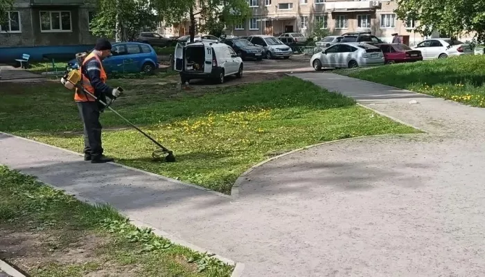 Во всех районах Барнаула проходит покос травы. Фото