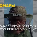 Комариный апокалипсис: Алтайский край атакуют полчища кровососов