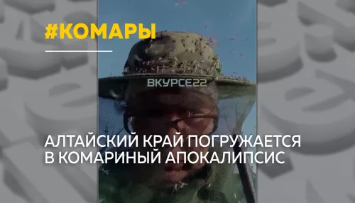 Комариный апокалипсис: Алтайский край атакуют полчища кровососов