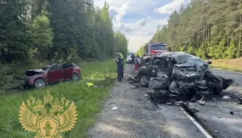 Годовалый ребенок и четырехлетняя девочка погибли в страшном лобовом ДТП. Фото