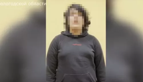 18-летнего лжеподрывника приговорили к колонии за минирования в Алтайском крае