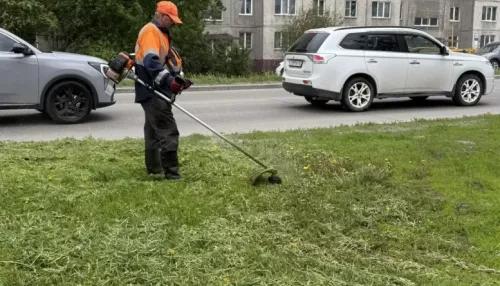 В Барнауле проводят масштабные летние работы по уборке улиц и покосу травы
