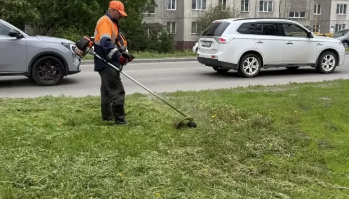В Барнауле проводят масштабные летние работы по уборке улиц и покосу травы