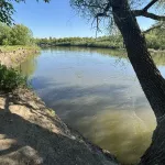 Поиски пропавшего в воде 12-летнего мальчика продолжаются в Алтайском крае