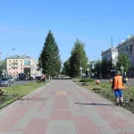 На аллее главного проспекта Барнаула высаживают цветы: фото
