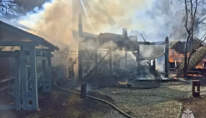 Крупный пожар уничтожил гостевые дома в селе Аскат Республики Алтай. Видео