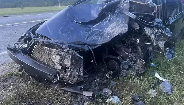 Пятеро человек, включая двоих детей, погибли в страшном ДТП на трассе. Фото