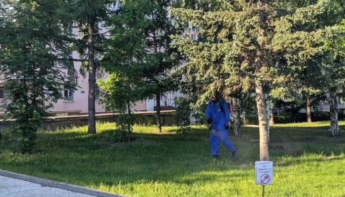 В Барнауле обрабатывают от комаров общественные пространства: список территорий