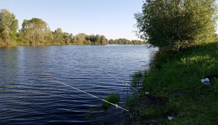 Комары съедают: алтайские рыбаки показали уловы первых дней лета