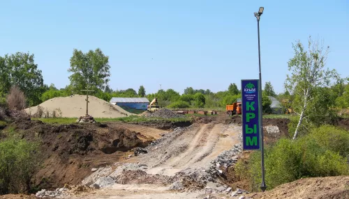 Летние краски Крыма: среди полей и околков в Барнауле строят новый поселок. Фото