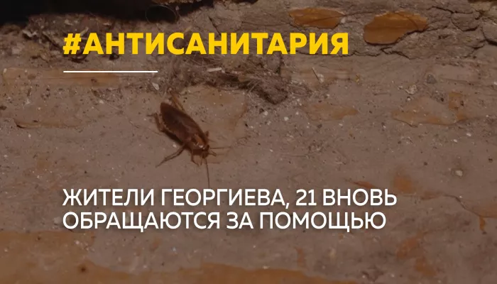 Тараканы, антисанитария и страх: жильцы дома на Георгиева бьют тревогу