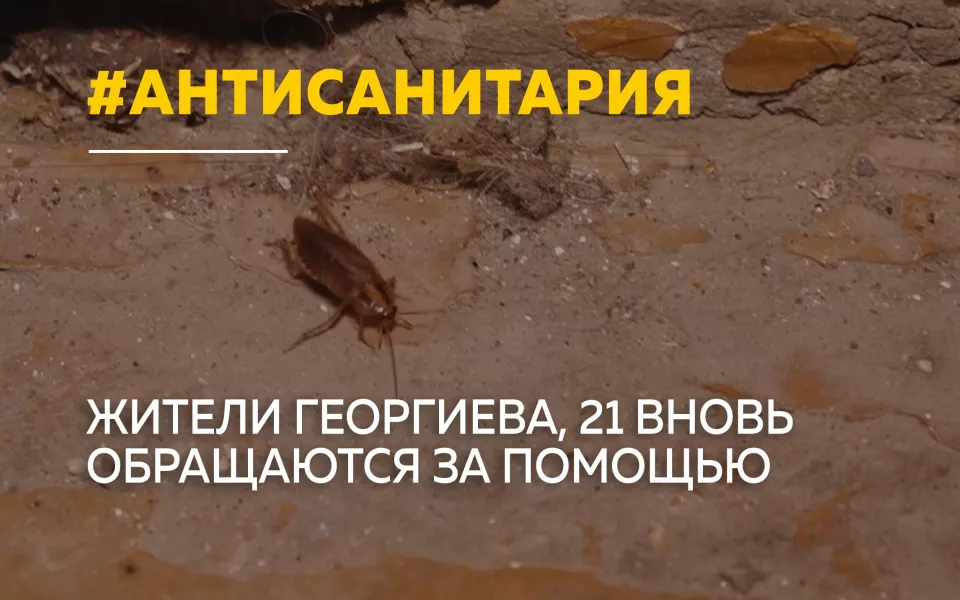 Тараканы, антисанитария и страх: жильцы дома на Георгиева бьют тревогу