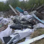 Незаконную свалку на 400 квадратов нашли возле Фирсово в Алтайском крае