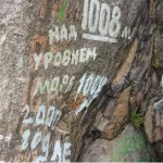 Алтайские тик-токеры сняли ответ расписывающим скалы вандалам