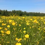 Стало известно, когда в Алтайский край придет долгожданная прохлада
