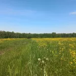 Врач рассказал, как правильно охладиться в жару без вреда для здоровья