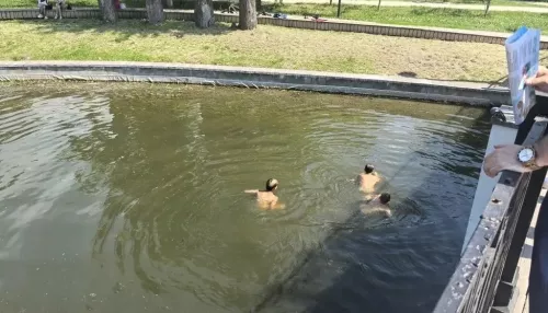 В барнаульском парке Изумрудный продолжаются купания в пруду: почему это запрещено