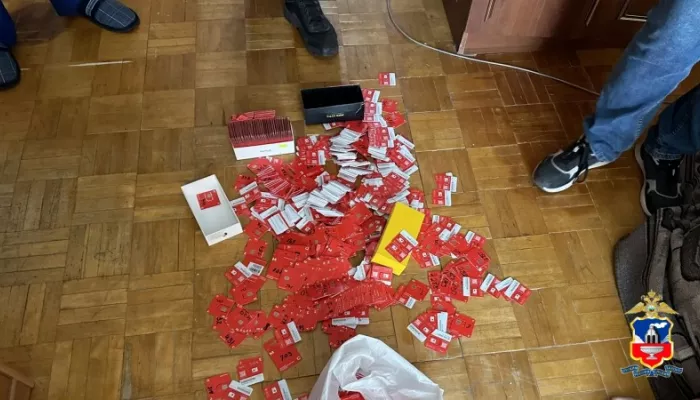 Алтайские полицейские раскрыли схему взлома аккаунтов на маркетплейсах