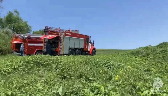 За сутки в Республике Алтай произошло три лесных пожара