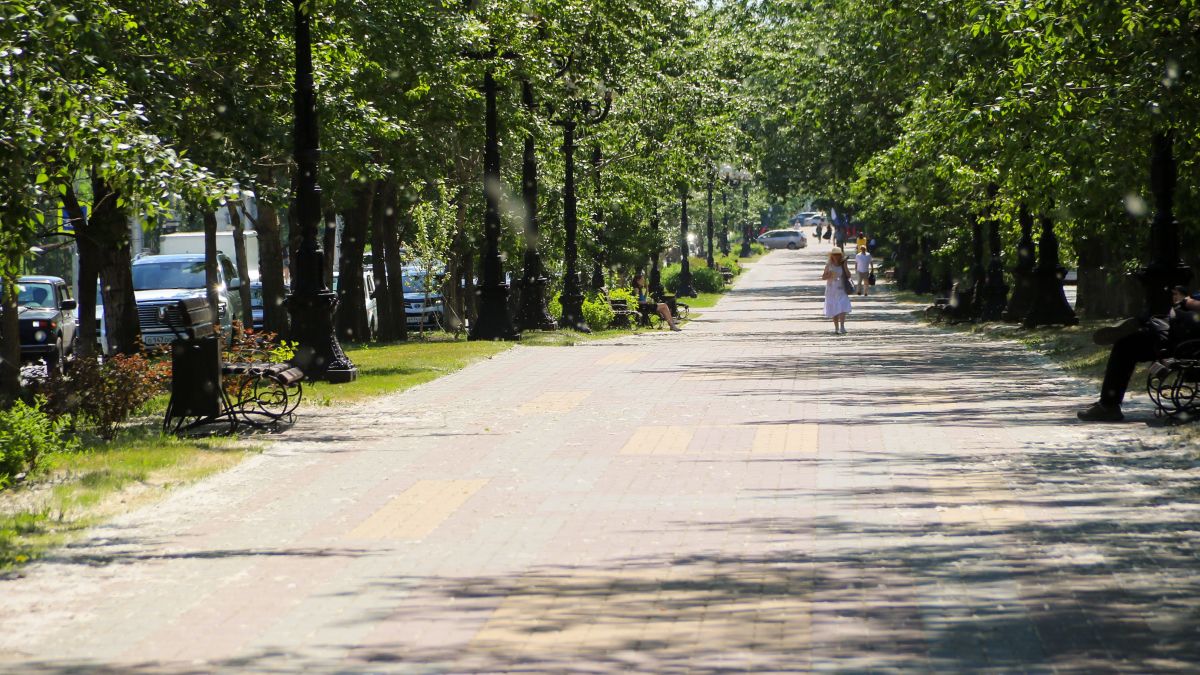Тополиный пух. Барнаул. Жара.