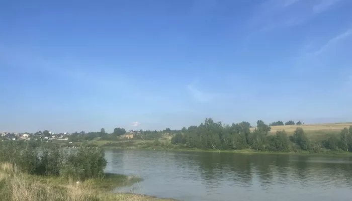 Школьник утонул в озере, отдыхая со взрослыми на диком пляже в Барнауле