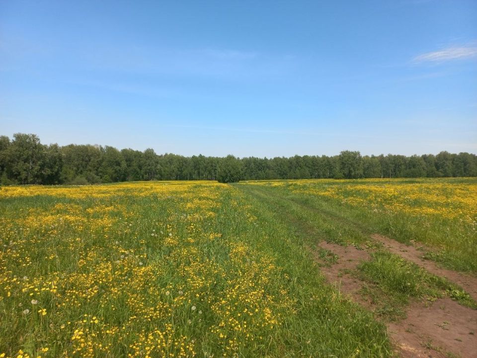 Лето. Погода. Жара.