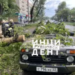 Ураганный ветер повалил деревья и повредил машины в Алтайском крае. Фото