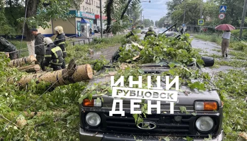 Ураганный ветер повалил деревья и повредил машины в Алтайском крае. Фото