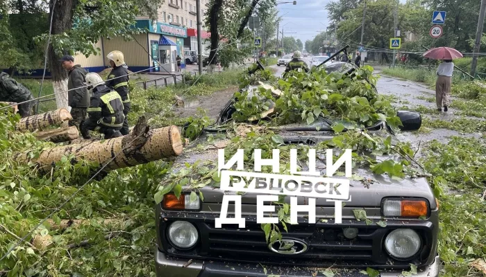 Ураганный ветер повалил деревья и повредил машины в Алтайском крае. Фото