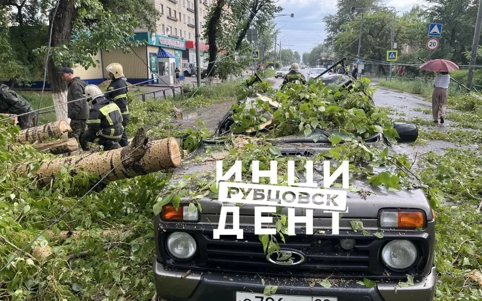 Ураганный ветер повалил деревья и повредил машины в Алтайском крае. Фото