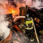 Жительница Алтайского края попала в больницу после ночного пожара на даче