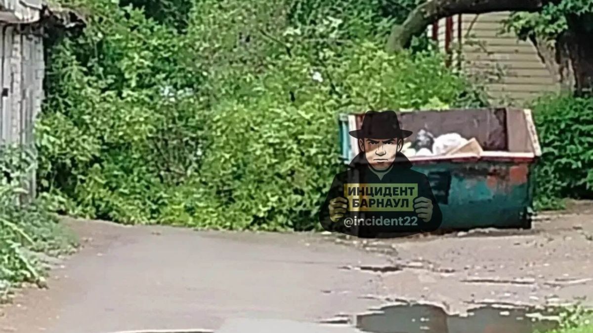Рухнувшее дерево
