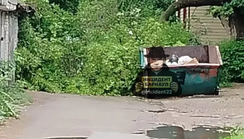 Старое дерево рухнуло во дворе в Барнауле и перекрыло проезд
