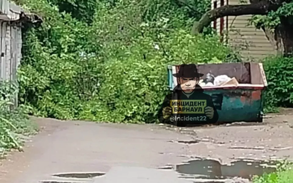 Старое дерево рухнуло во дворе в Барнауле и перекрыло проезд