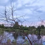 Двое детей и взрослый погибли после опрокидывания лодки в Алтайском крае