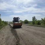 В Алтайском крае обновляют 14 км трассы Алейск – Чарышское. Фото