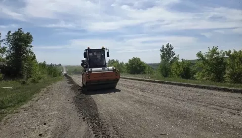 В Алтайском крае обновляют 14 км трассы Алейск – Чарышское. Фото