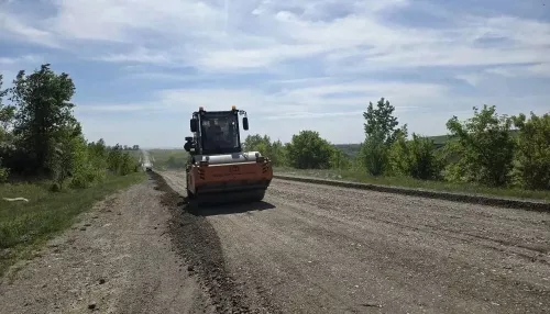 В Алтайском крае обновляют 14 км трассы Алейск – Чарышское. Фото