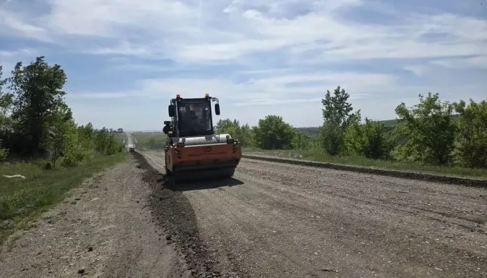 В Алтайском крае обновляют 14 км трассы Алейск – Чарышское. Фото