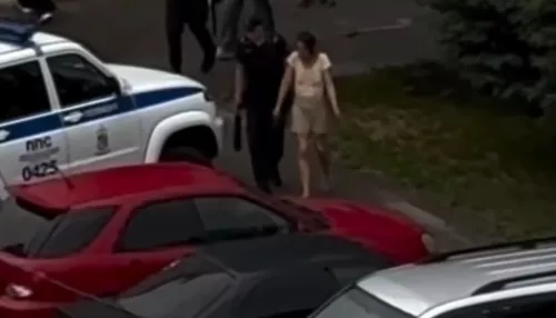 Соцсети: в Барнауле на улице задержали девушку, вооруженную ножом