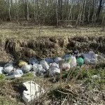 На берегу реки Катуни убрали незаконную свалку после вмешательства прокуратуры