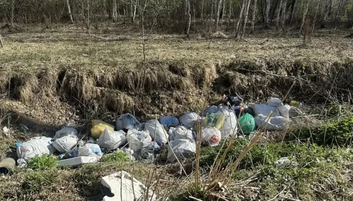 На берегу реки Катуни убрали незаконную свалку после вмешательства прокуратуры
